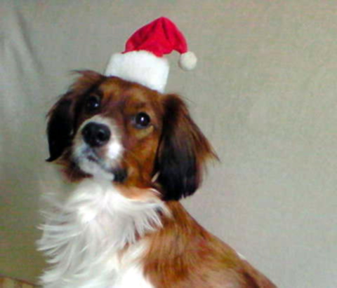 200812201119000.jpg