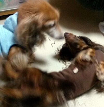 20141129.jpg