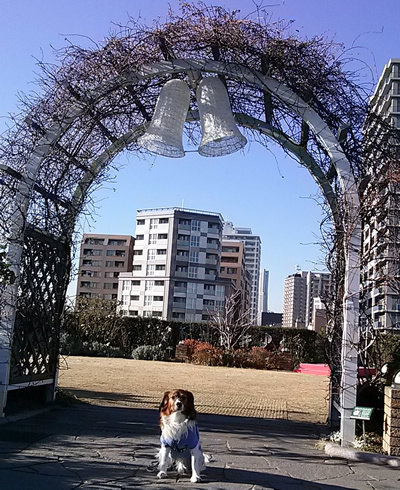 400IMG05126.jpg