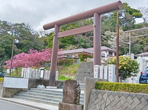 画像1.jpg