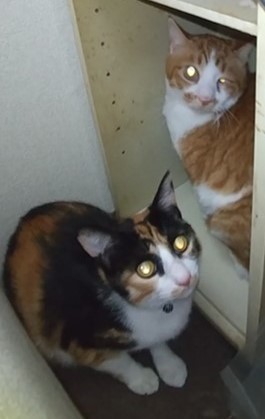 画像22.jpg