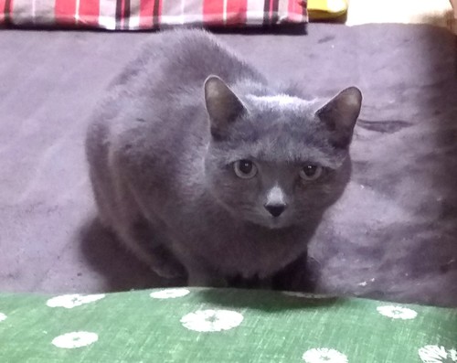 画像23.jpg