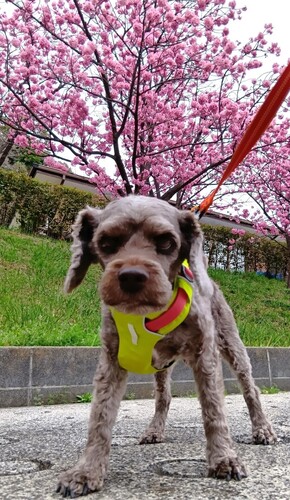 画像3.jpg