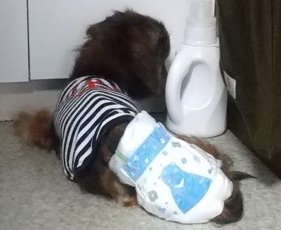 画像5.jpg
