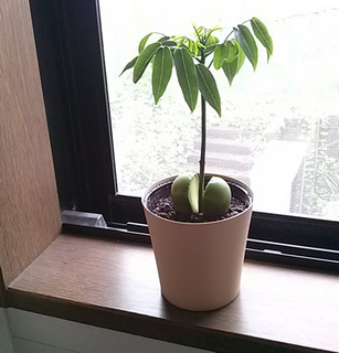 IMG03997.jpg
