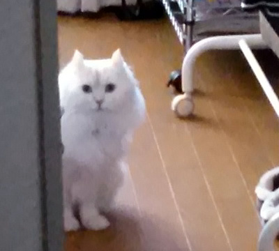 IMG05105.jpg