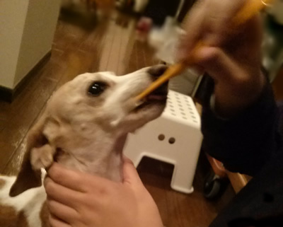 IMG06309.jpg