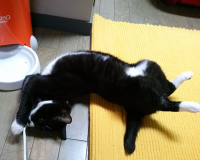 IMG12465.jpg