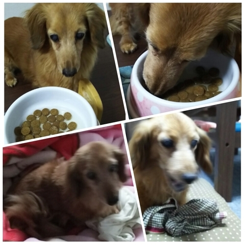 PhotoGrid_1462454837715.jpg