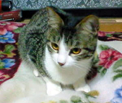 a0290798_22114180.jpg